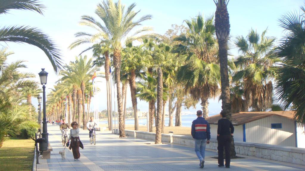 Hostal La Colonia Μαρμπέλλα Εξωτερικό φωτογραφία